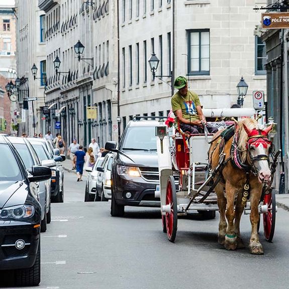 Calèche à côté d'une colonne de voitures à Montréal